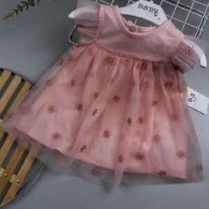 Baby Pink Chiffon Mesh Dress